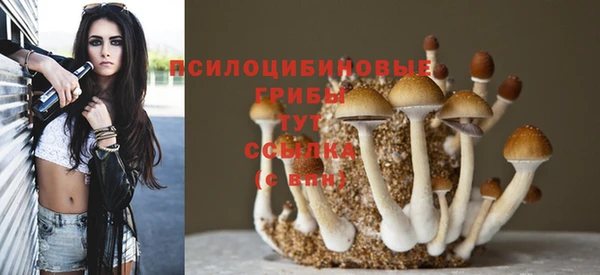 МДПВ Володарск