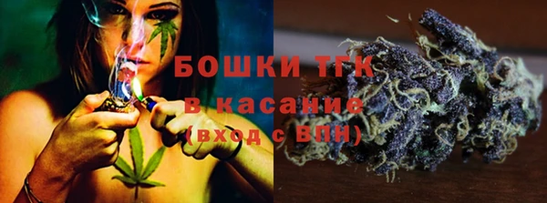 спиды Вяземский