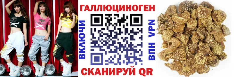 где продают наркотики  OMG ссылка  Галлюциногенные грибы ЛСД  Кадников 